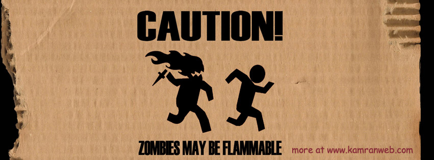 Funny Timeline Cover - Zombies May Be Flammable Cover 